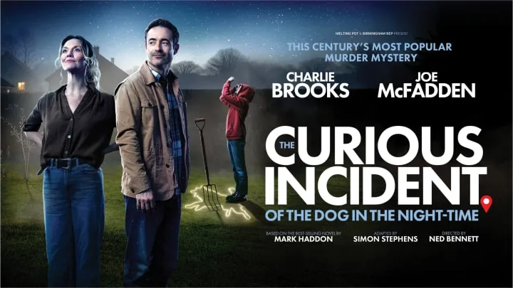 The Curious Incident of the Dog in the Night-Time