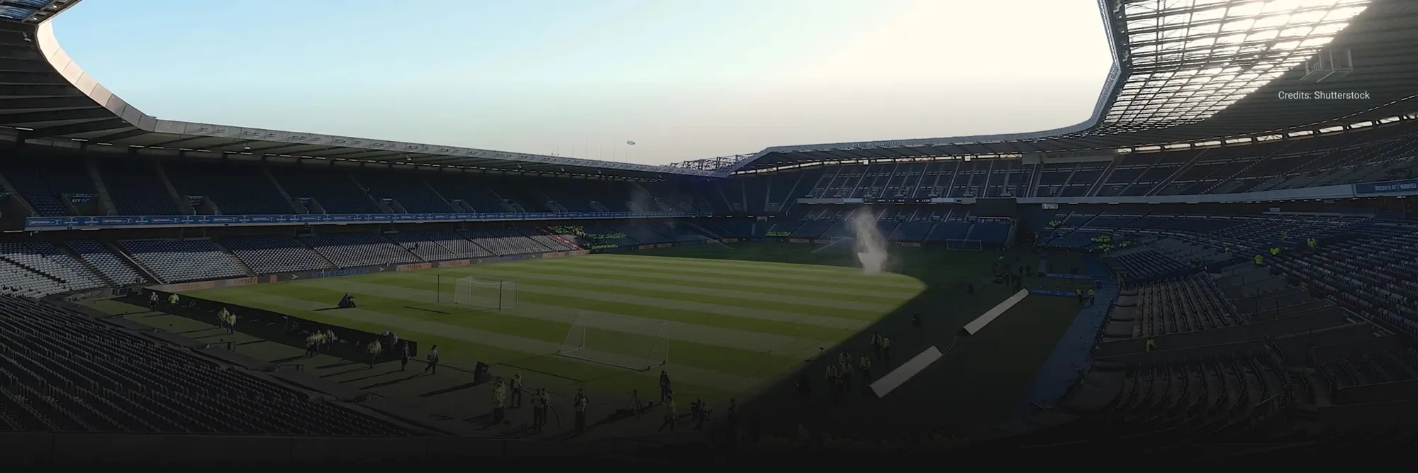 Scotland vs New Zealand