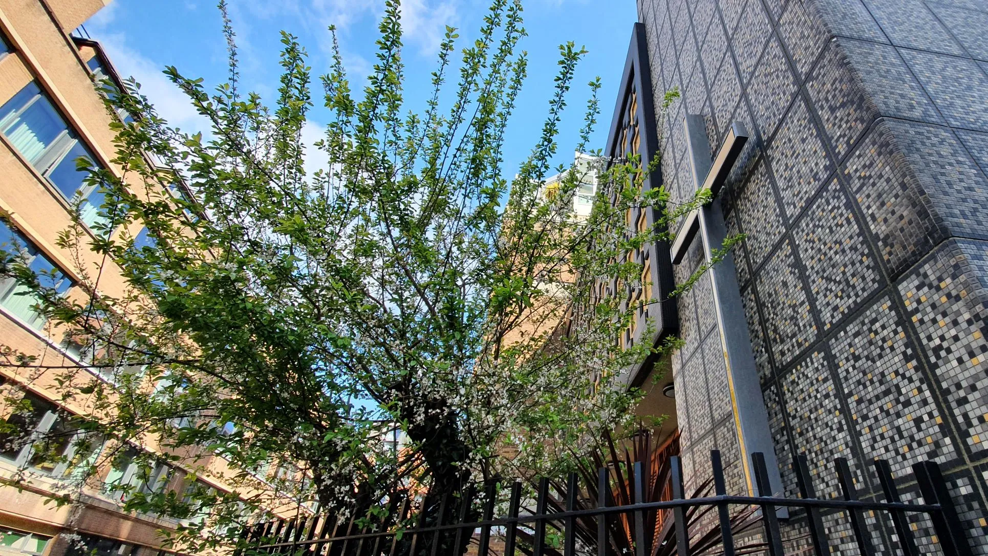Heilige Messe in St. Bonifatius (Whitechapel)