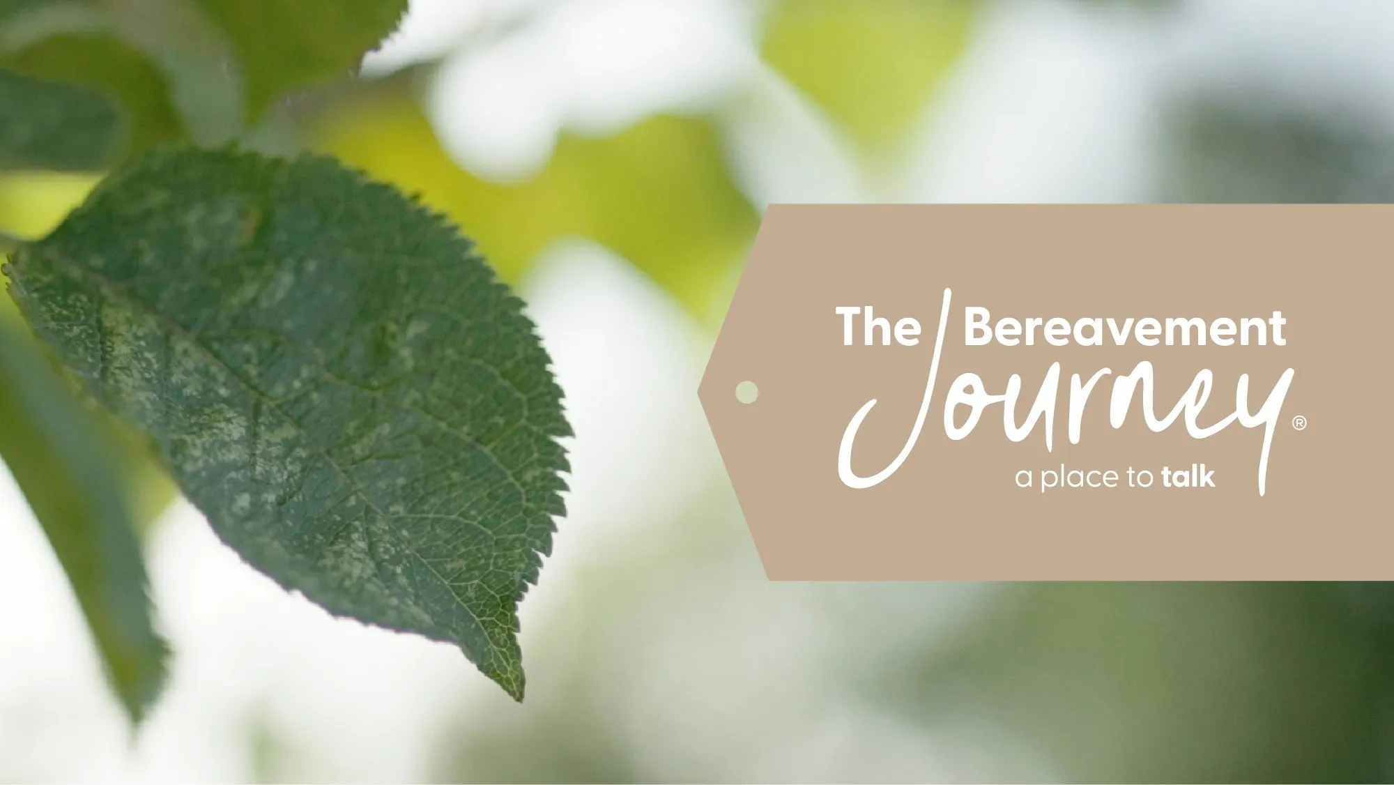 The Bereavement Journey