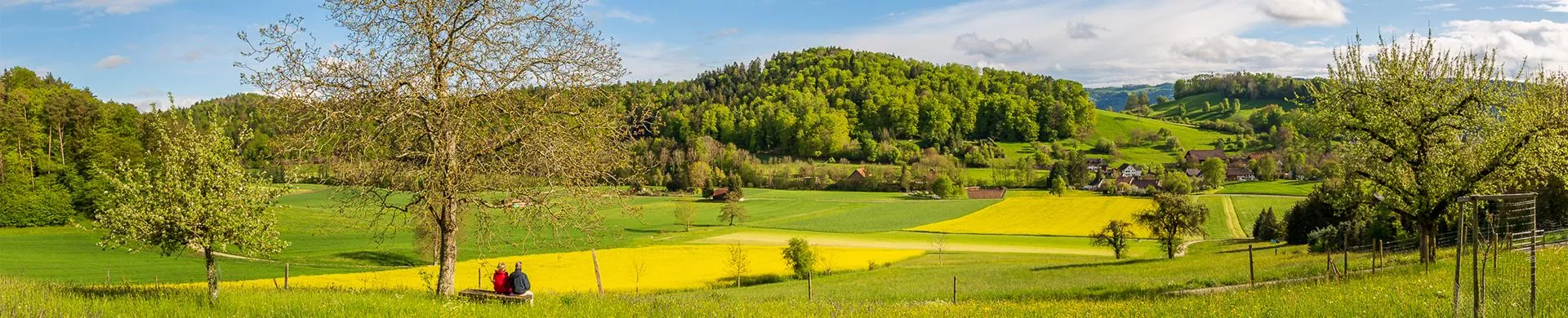 Gesprächsstunde Deutsch