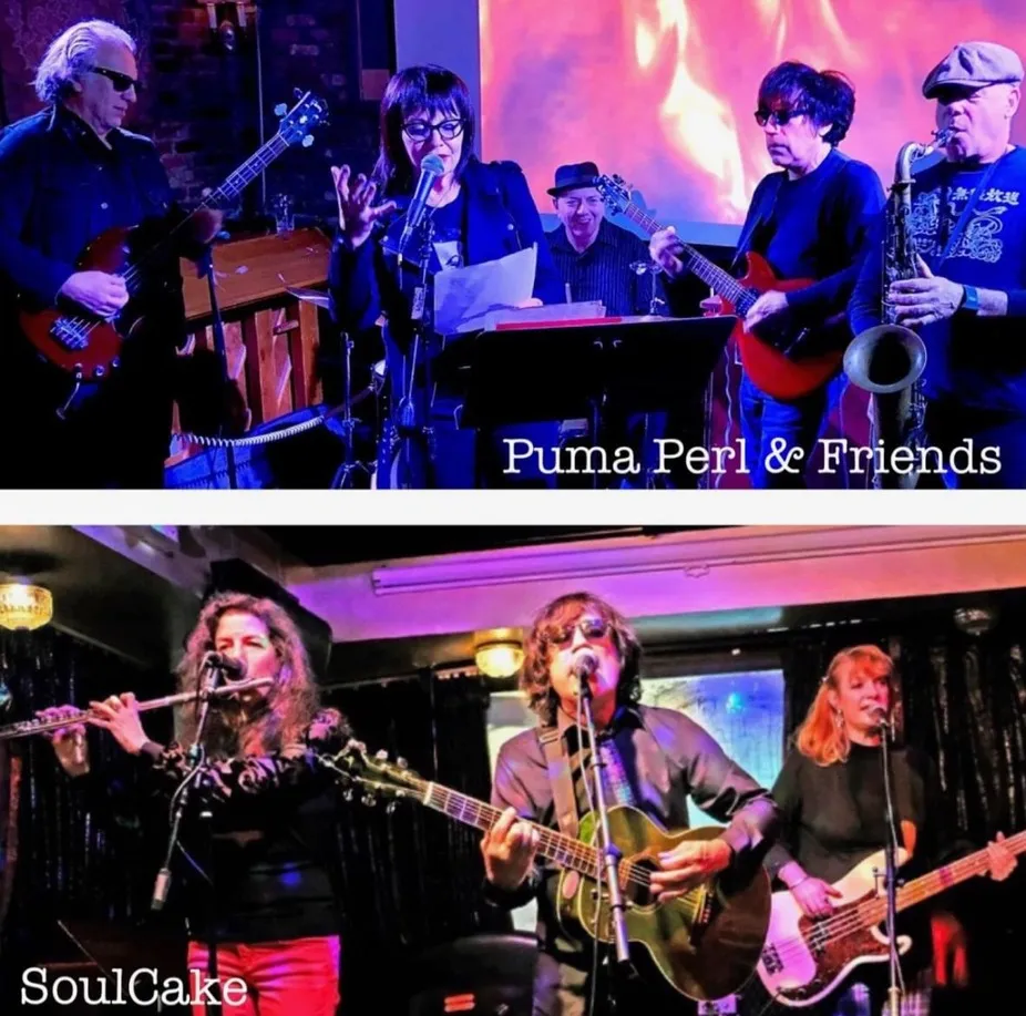 Puma Perl Band / SoulCake