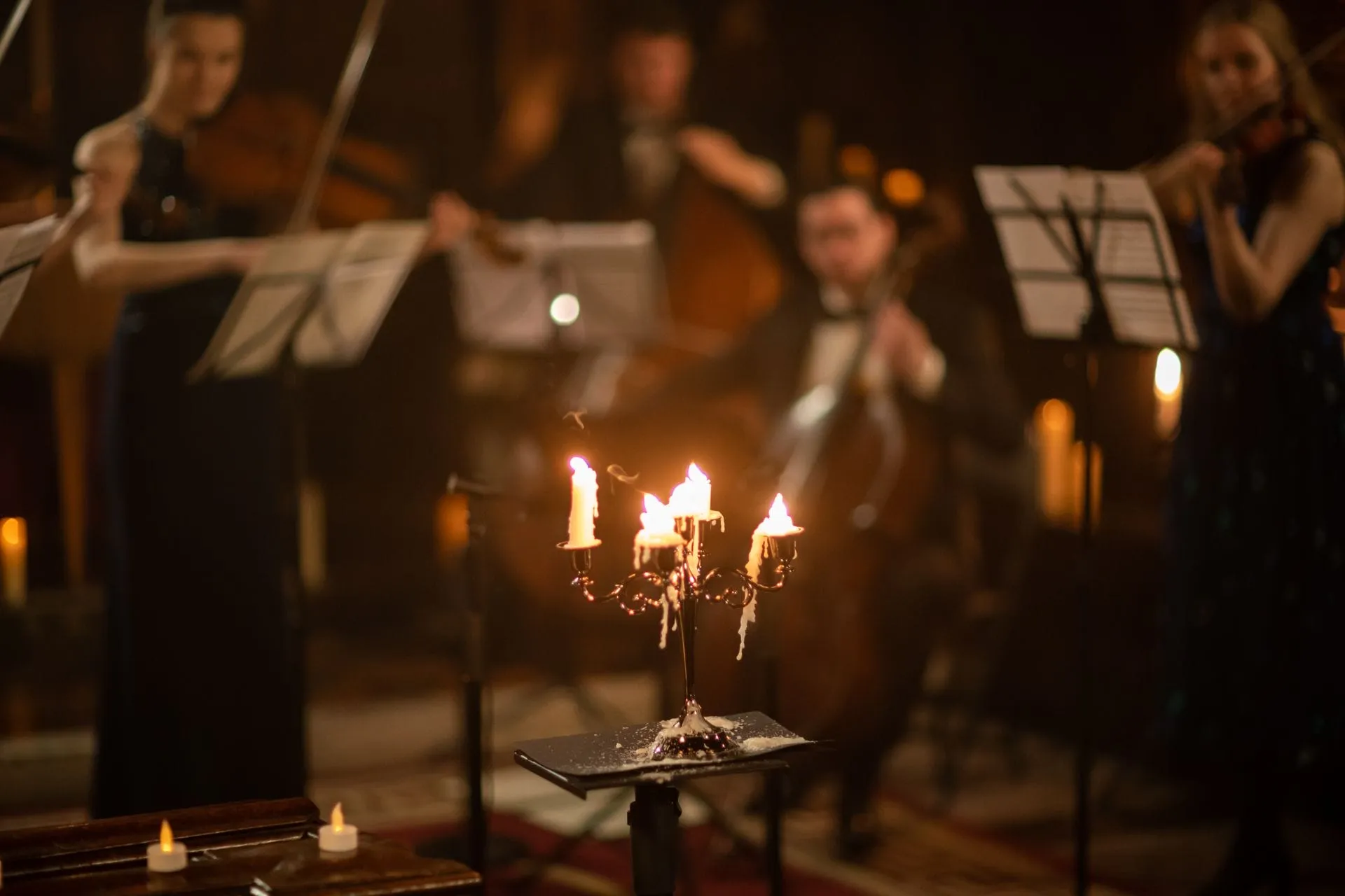 Vivaldi Four Seasons by Candlelight (6pm and 8pm)