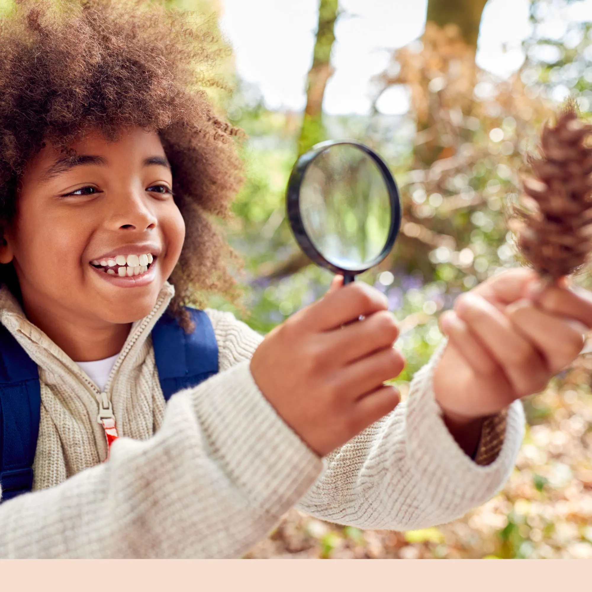 Children's Activity - Rip's Nature Trail
