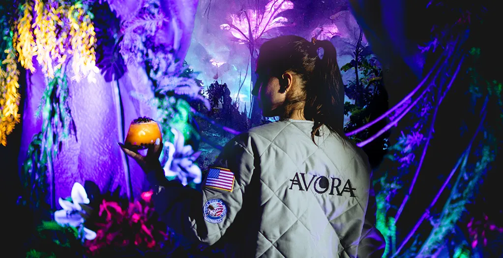 Avora: A New-World Cocktail Experience