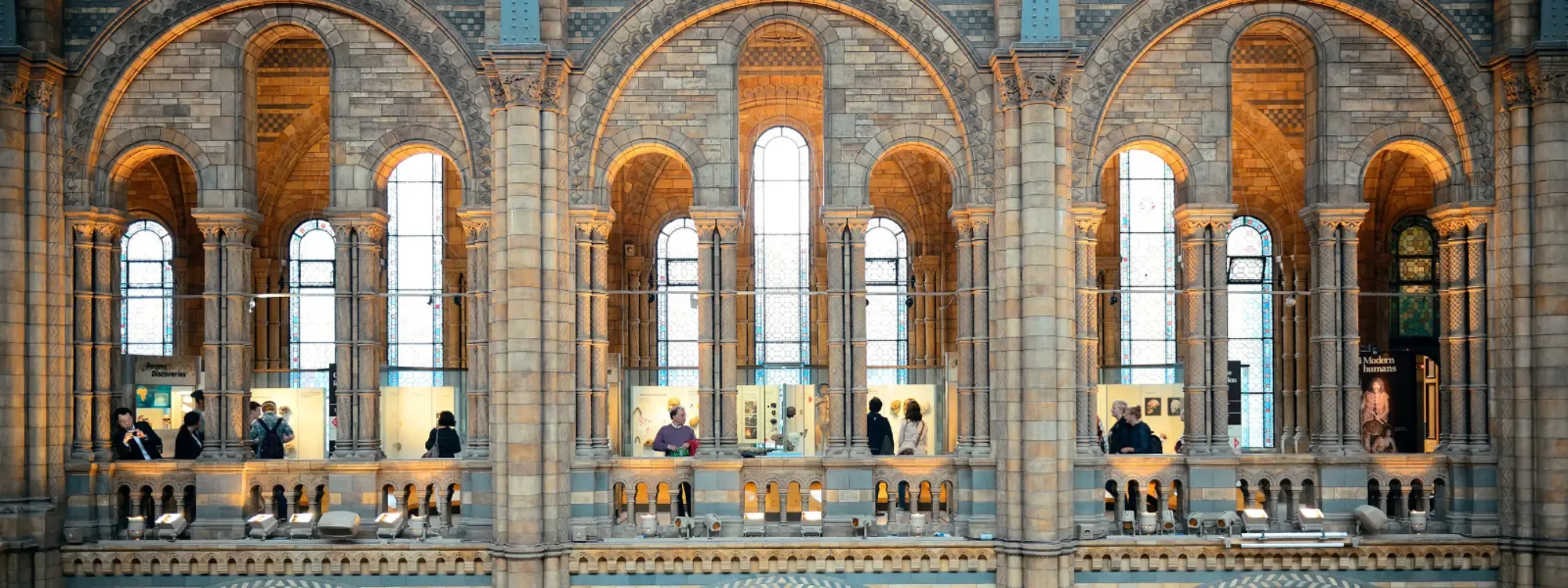 CILIP ARLG London & South East | Visit to the Natural History Museum Library and Archives