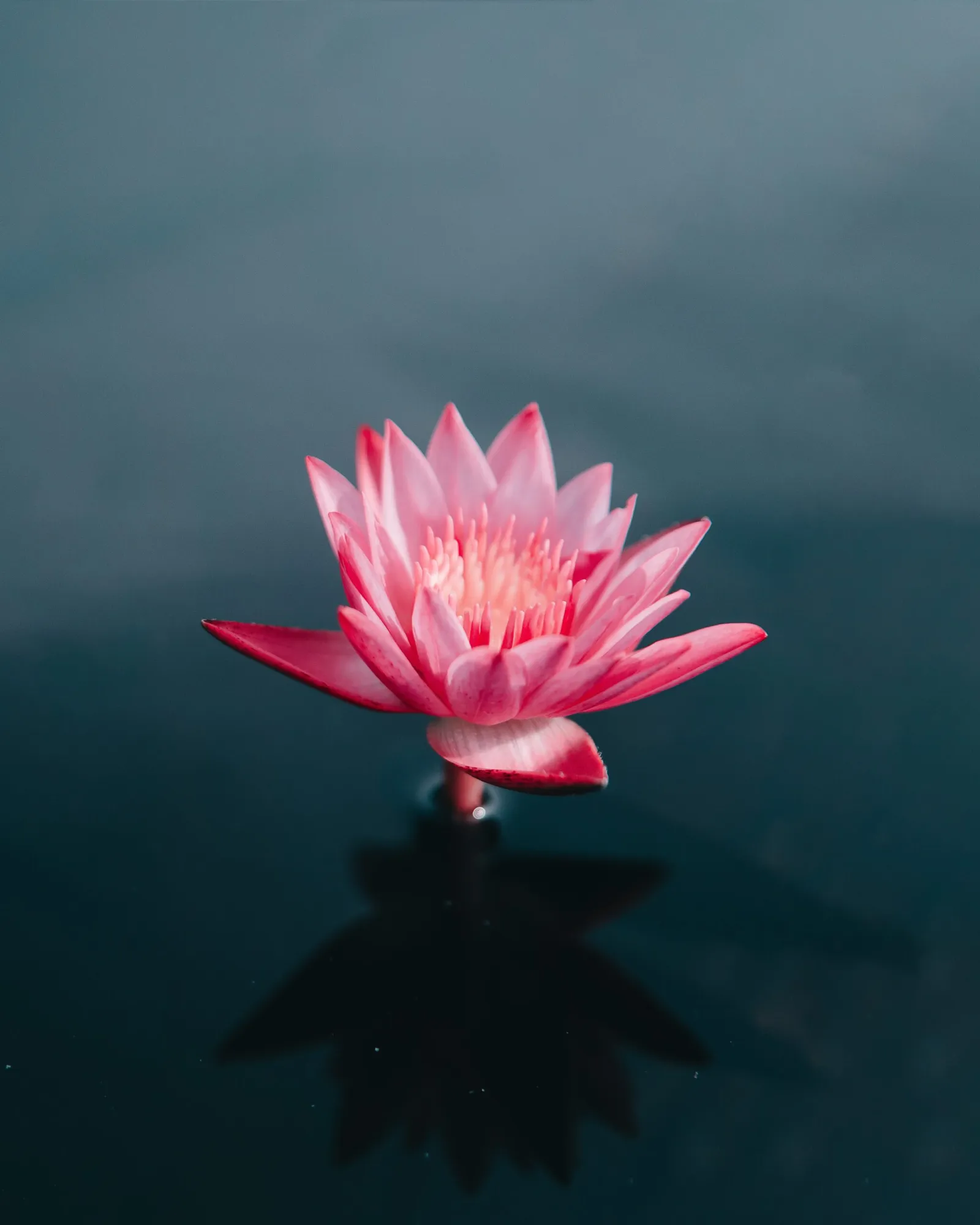 DYNAMISCHES YOGA