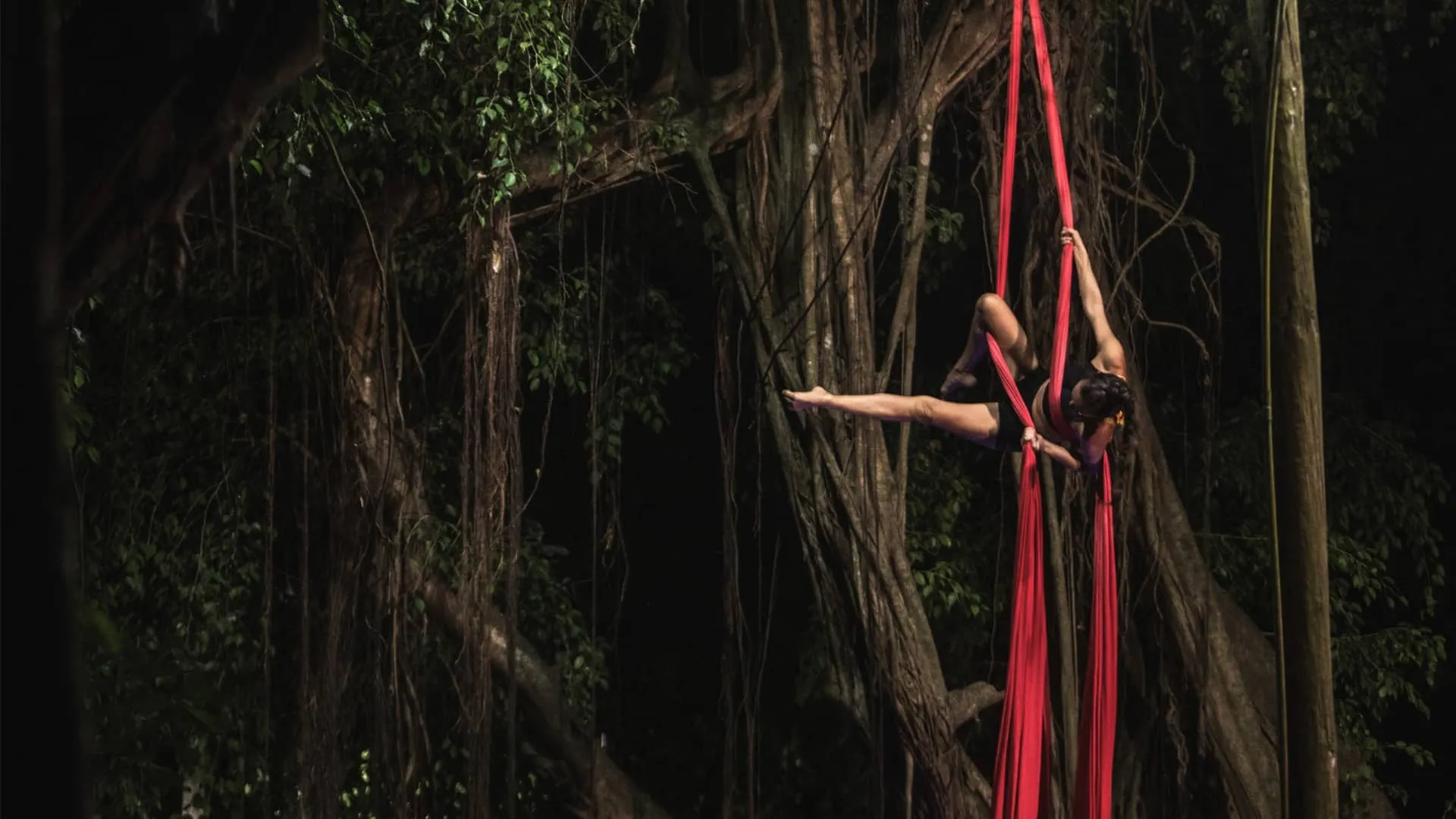 Dissecting Aerial SYMPOSIUM: The Big One (Studio 1)