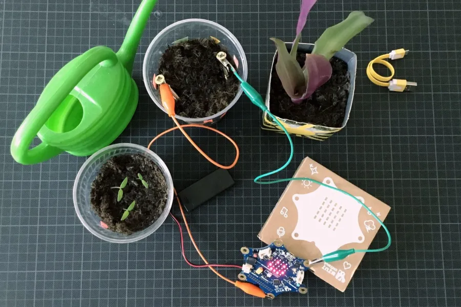 Naturwissenschaftliche Kompetenzen mit Calliope mini entwickeln.