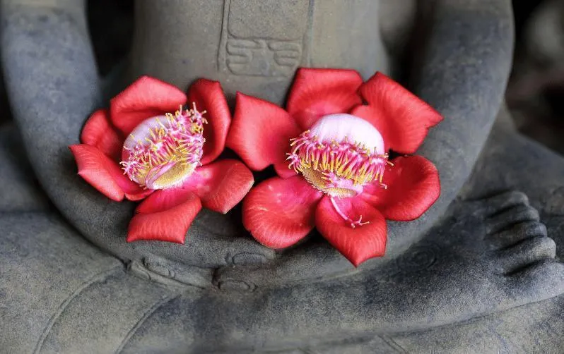 Midweek Meditations