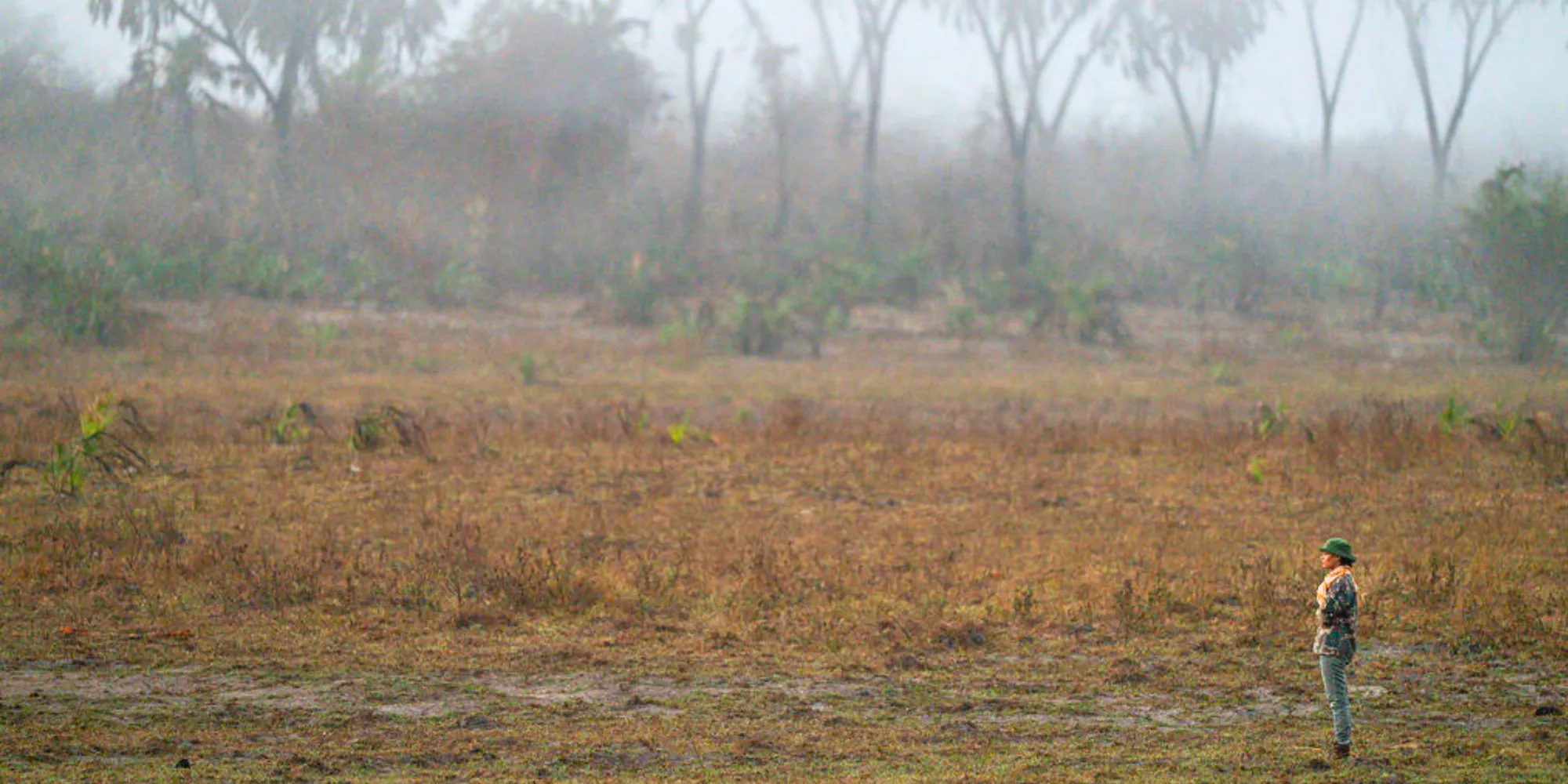 Regenerating Climate & Nature – The Land She Would Not Leave