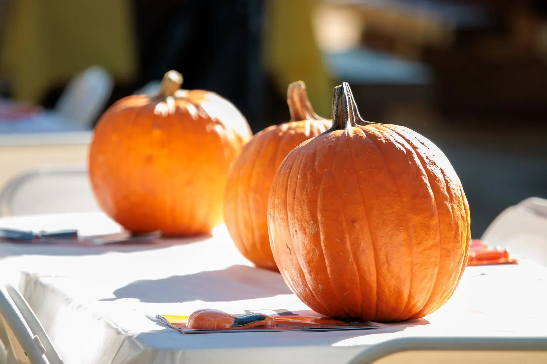 XAMAYA: OTHERWORLD — HALLOWEEN IN THE CHURCH