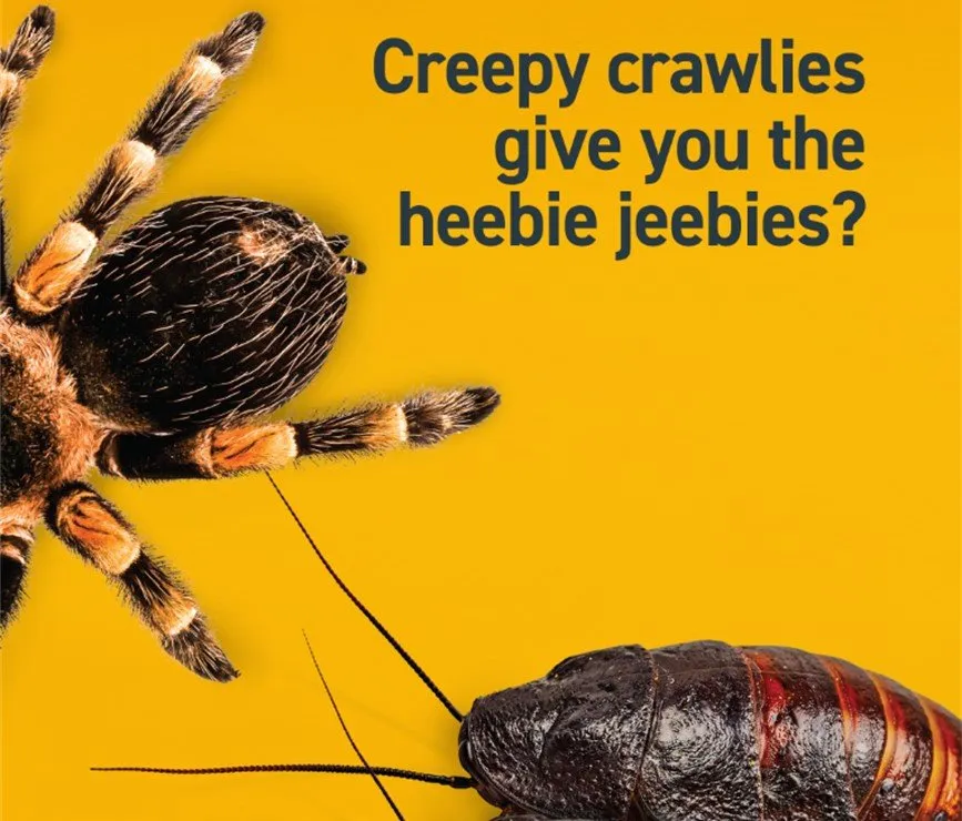 Creepy Crawlies - SOLD OUT!