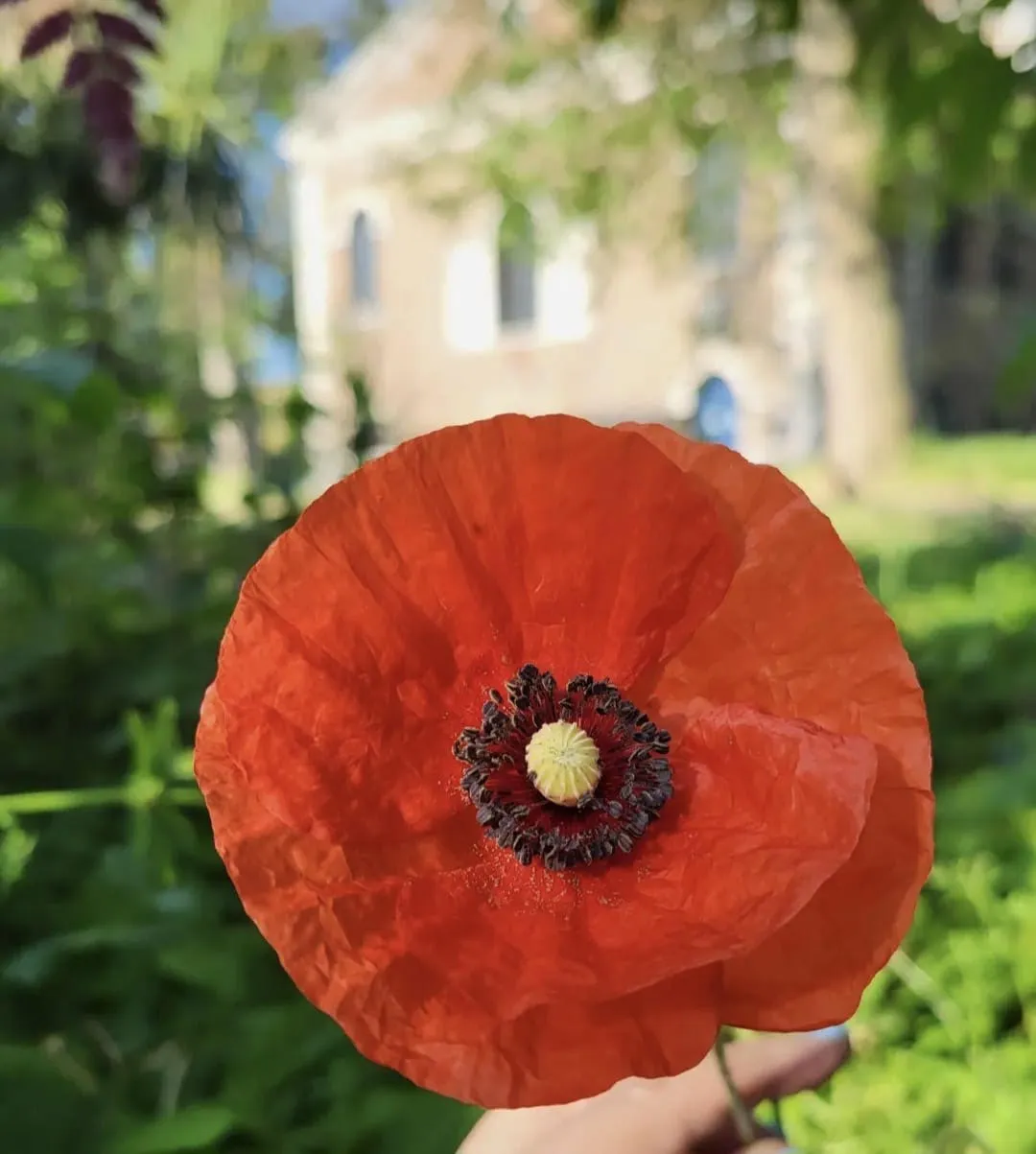 Remembrance Sunday