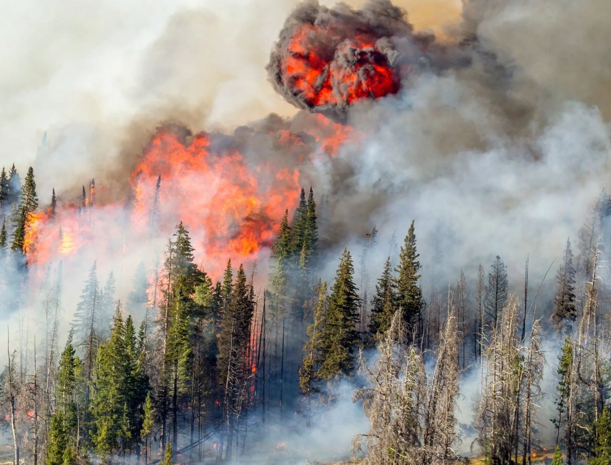 Living with risk: the geography of disasters