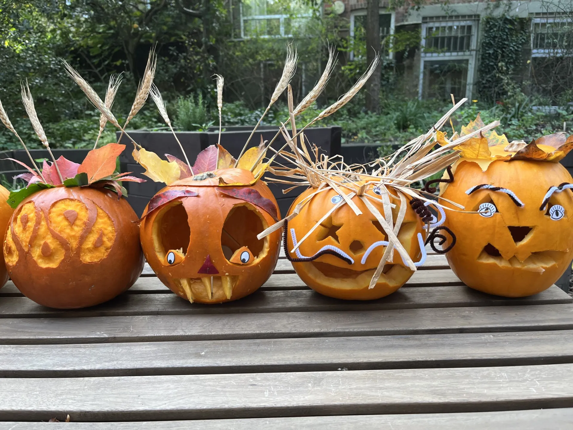 Family Halloween: Pumpkin Carving