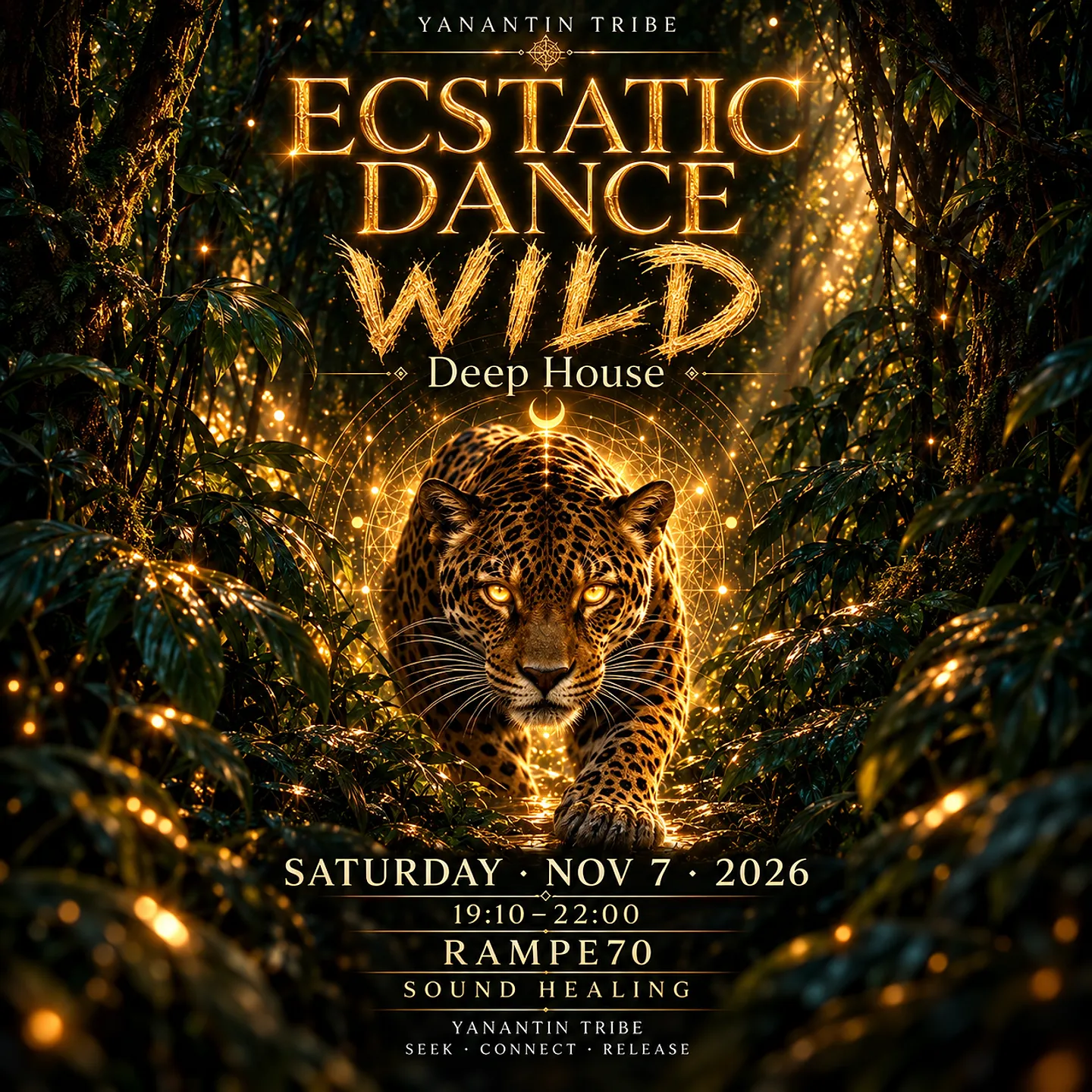 ECSTATIC DANCE · WILD · ZÜRICH