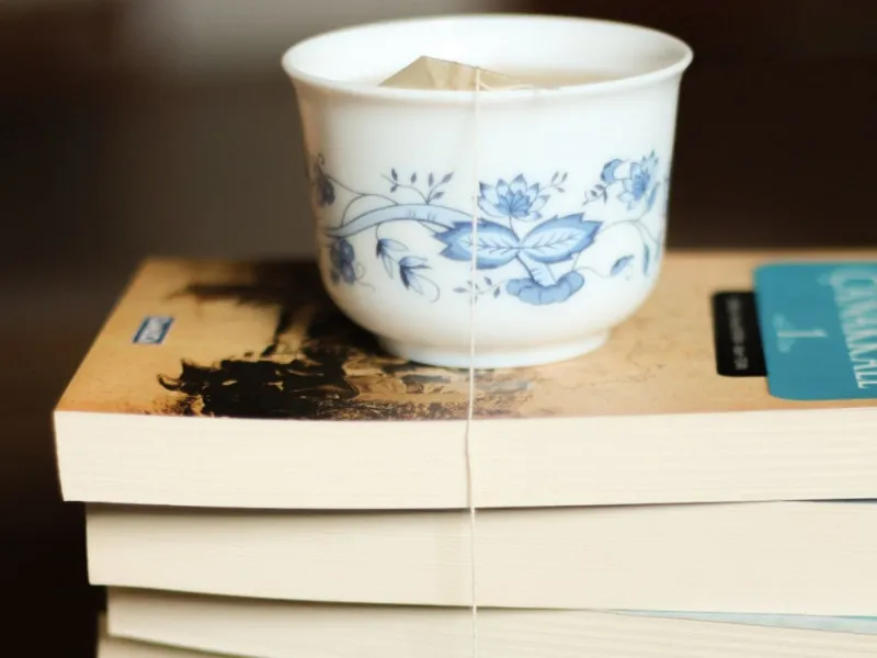 Silent Book Club – Chapter Lankwitz