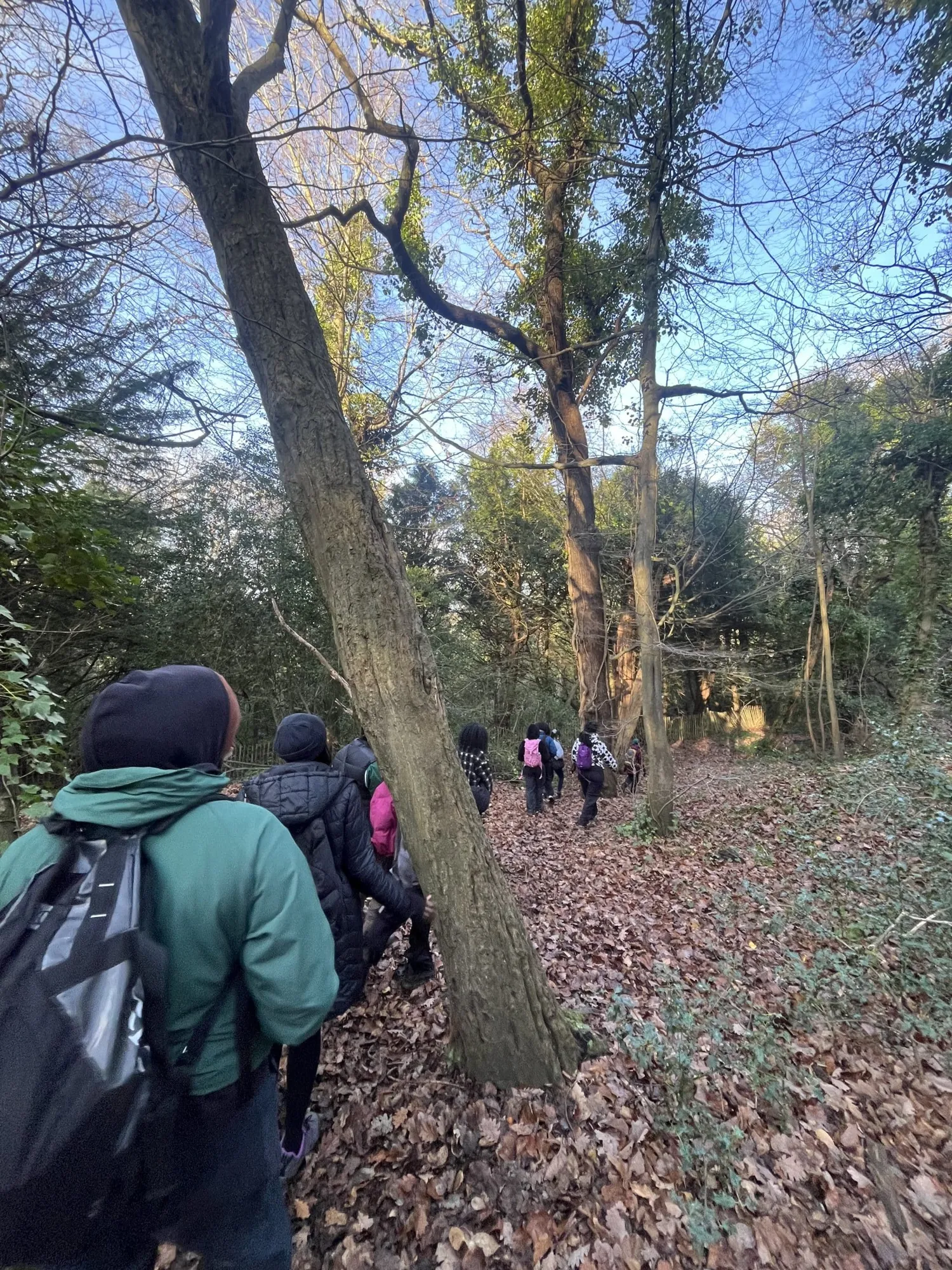 Black History Month 2026 : Wellbeing Walk with Mindful Meditation