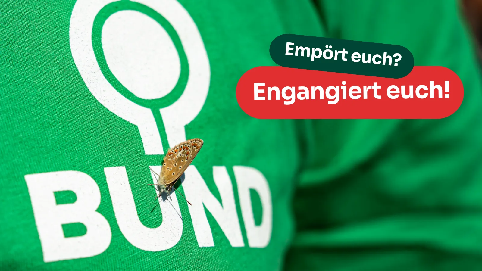 Ehrenamtstreffen "Stadtnatur"