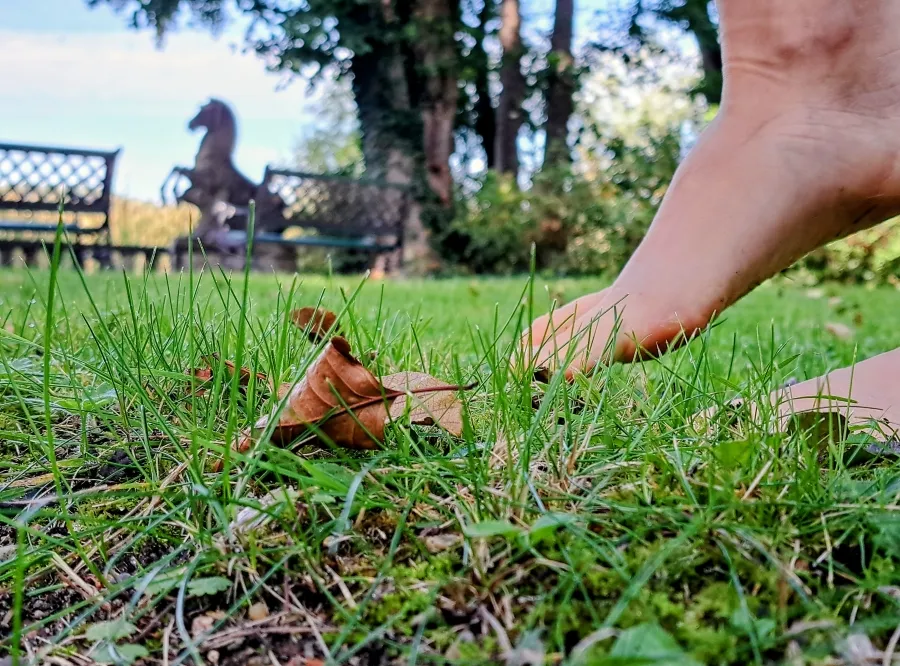 Tautreten in Weigels Garten