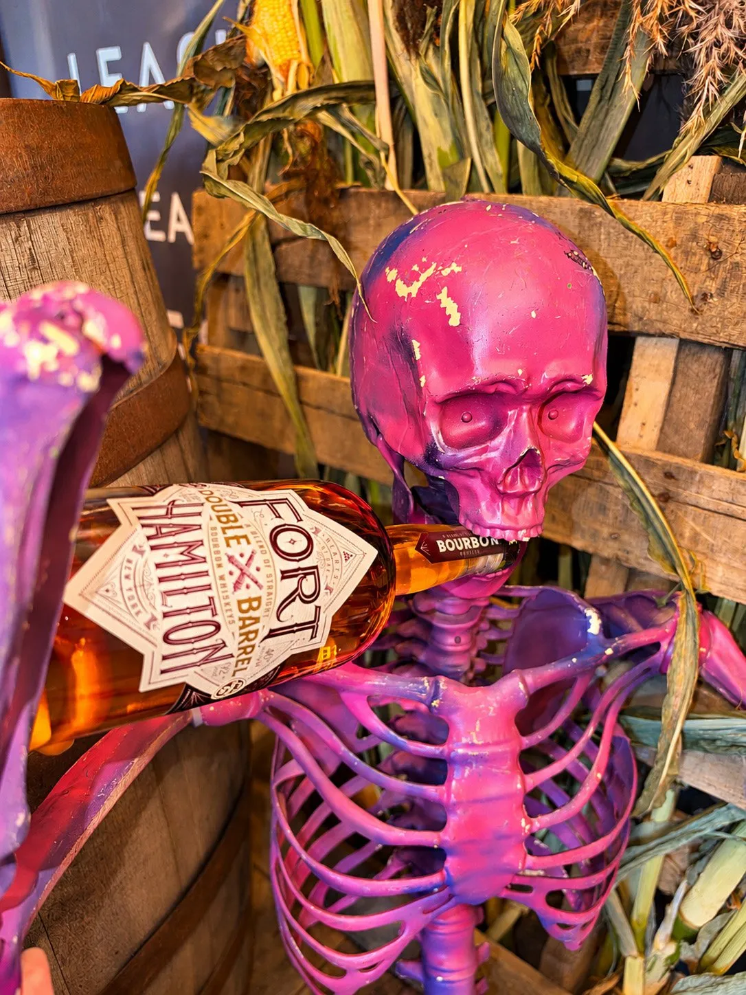 Trick or Treat & Spirits After Dark