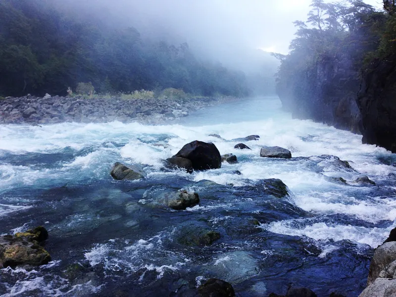 Lebensenergie im Fluss