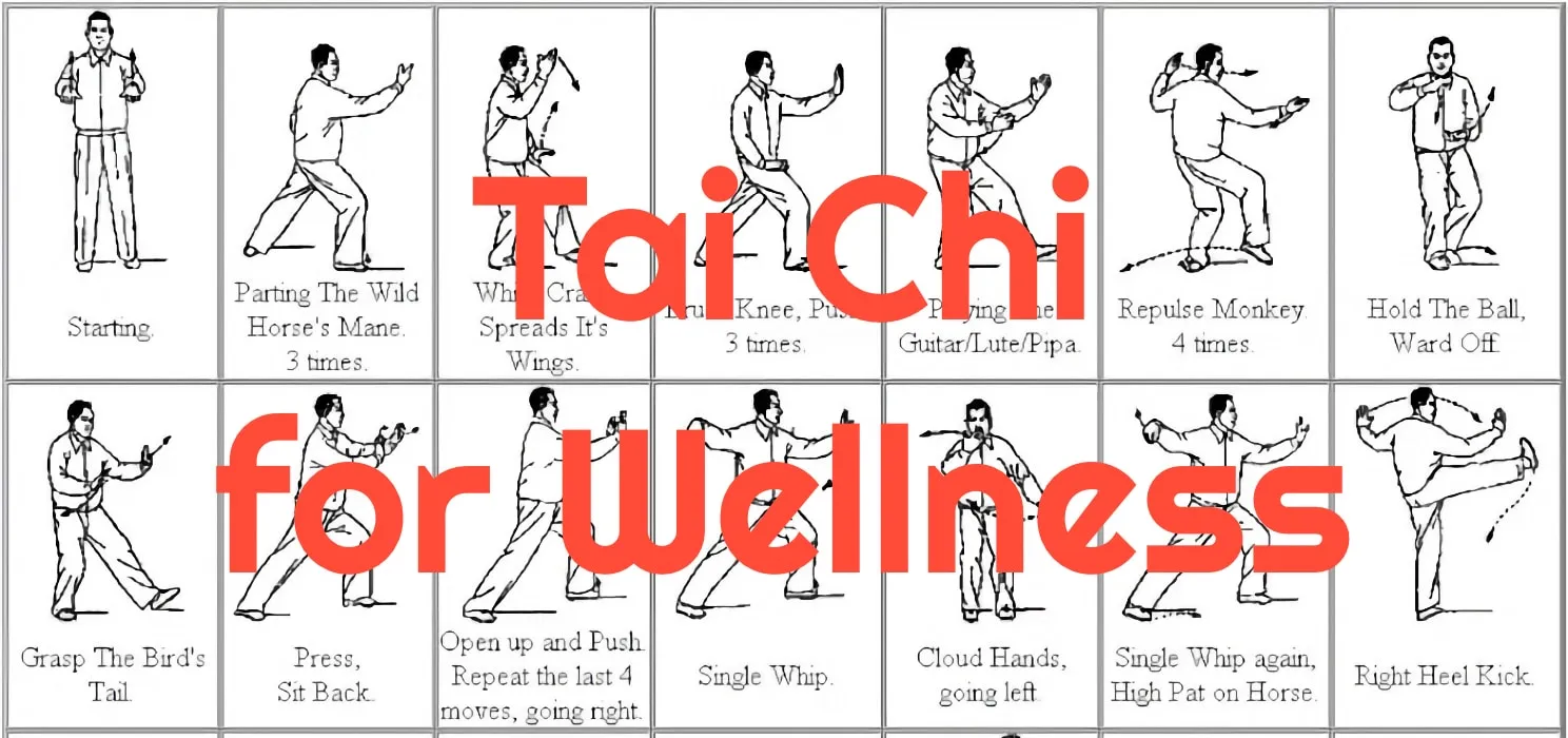 Tai Chi for Wellness- Beginners Course