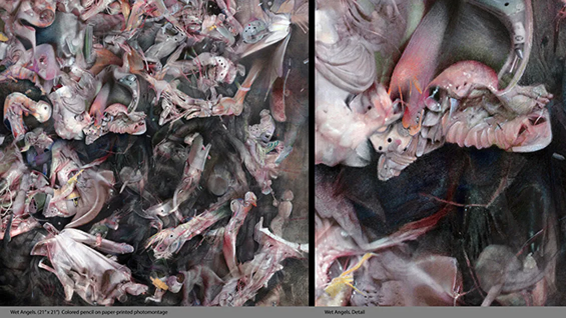 Representation Lecture | Mark West: Seeing Things, Pareidolia and the Discovery of Form