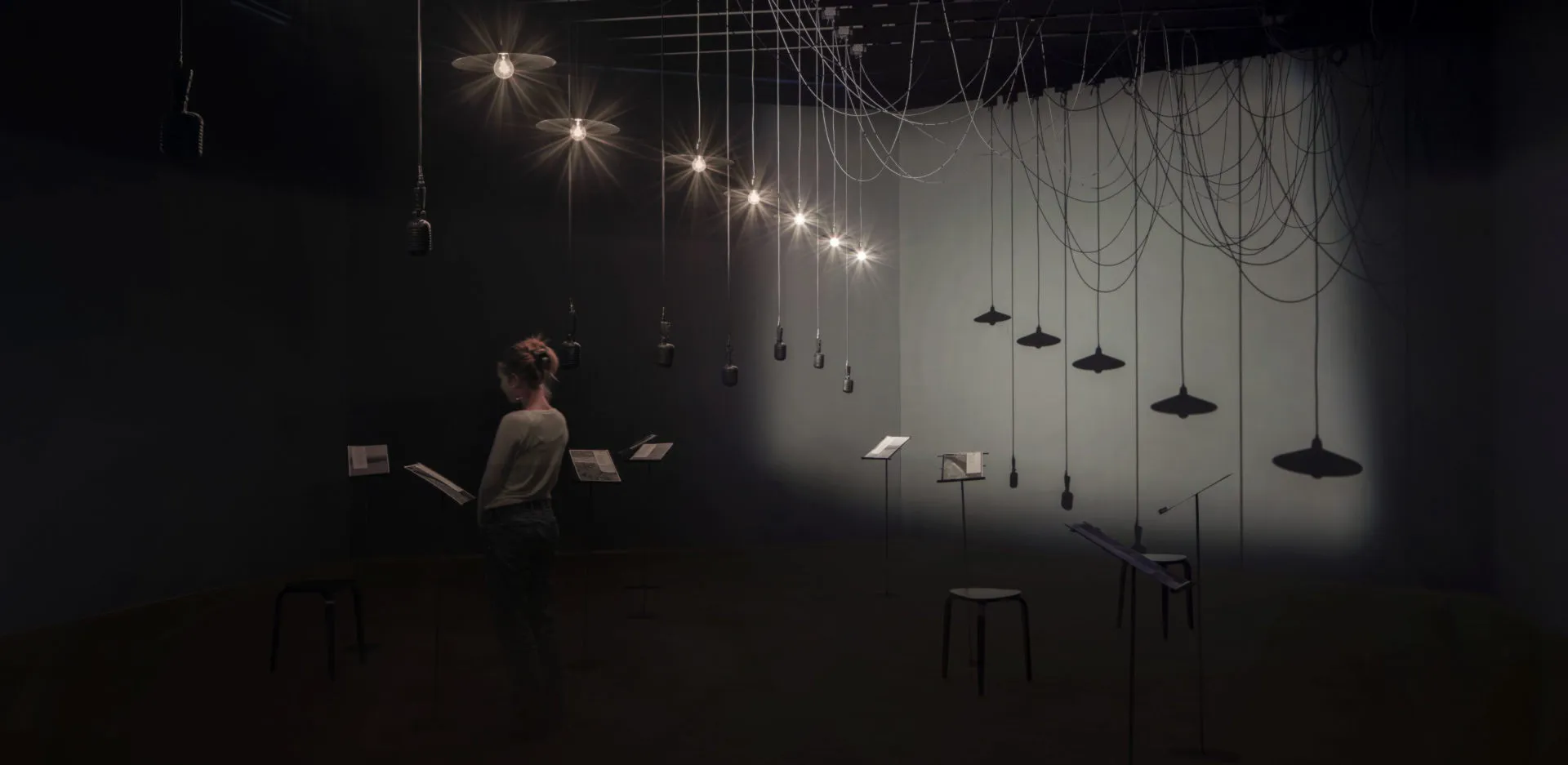 Shilpa Gupta – Overview