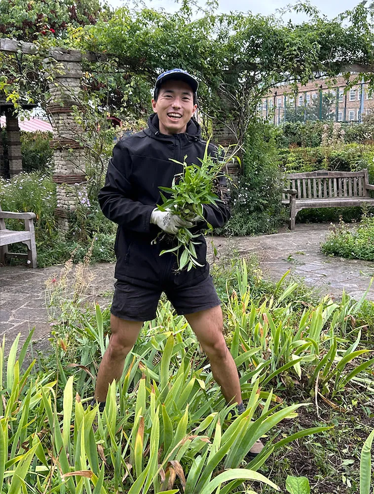 Volunteer Gardening - this Sunday