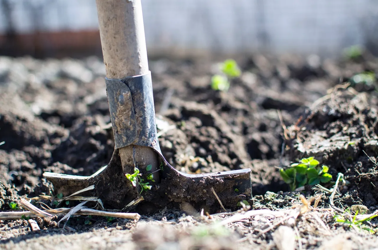 Church Gardening