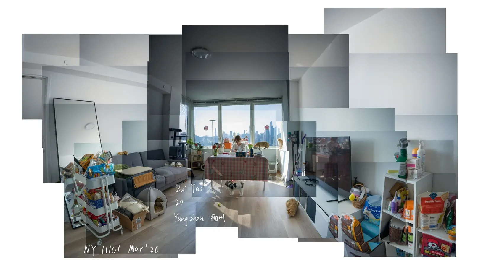 Fall 2026 BFA Photography and Video Student Exhibitions: Clio Bildman, Weston Lee Andrews, and Yikai Wang