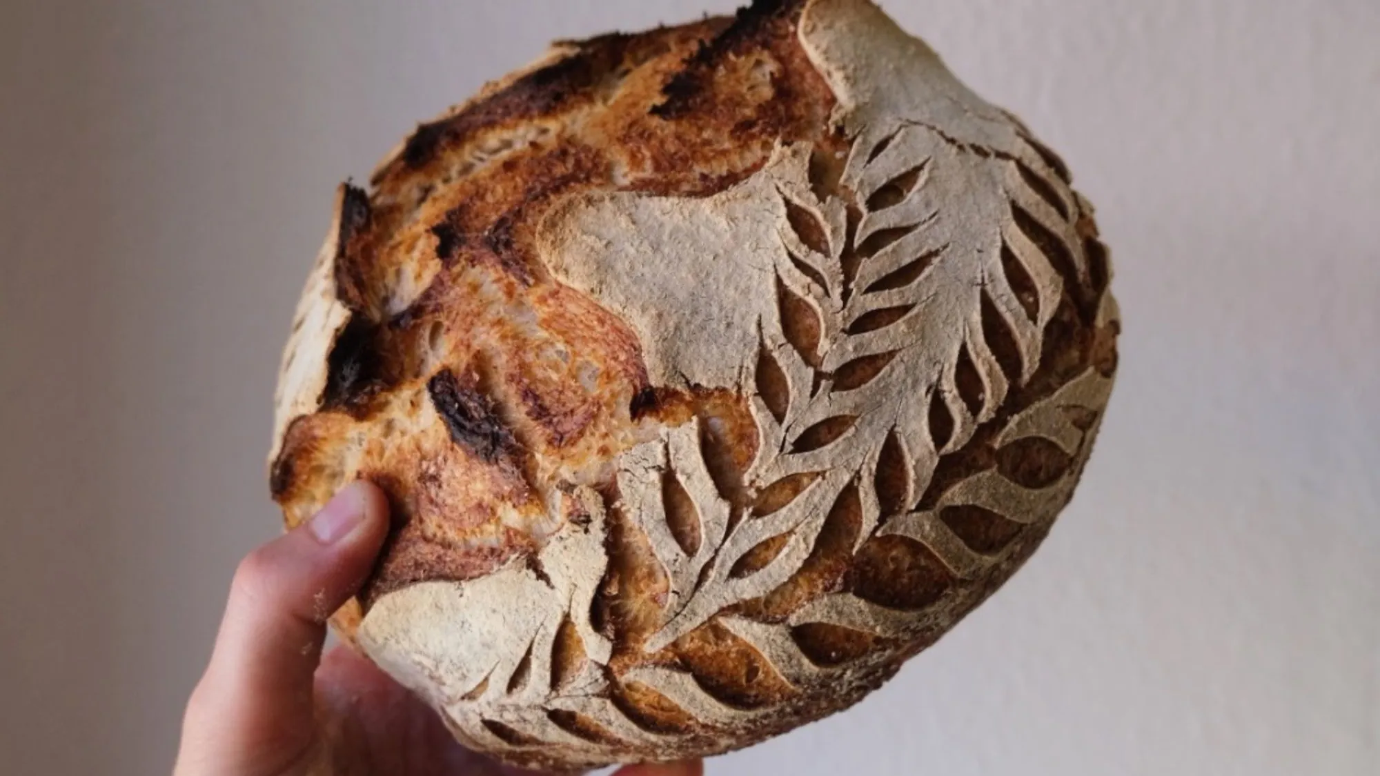 Sauerteig Brotbackkurs
