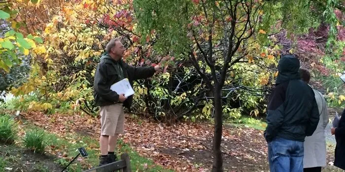 Fall Foliage Tour