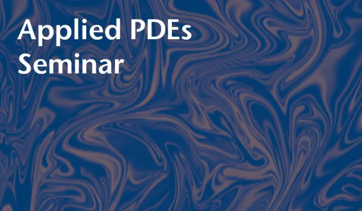 PDEs Seminar – Anna Broms (Imperial College London)