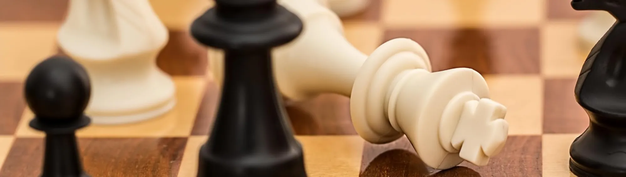 Chess Club at Marylebone Library