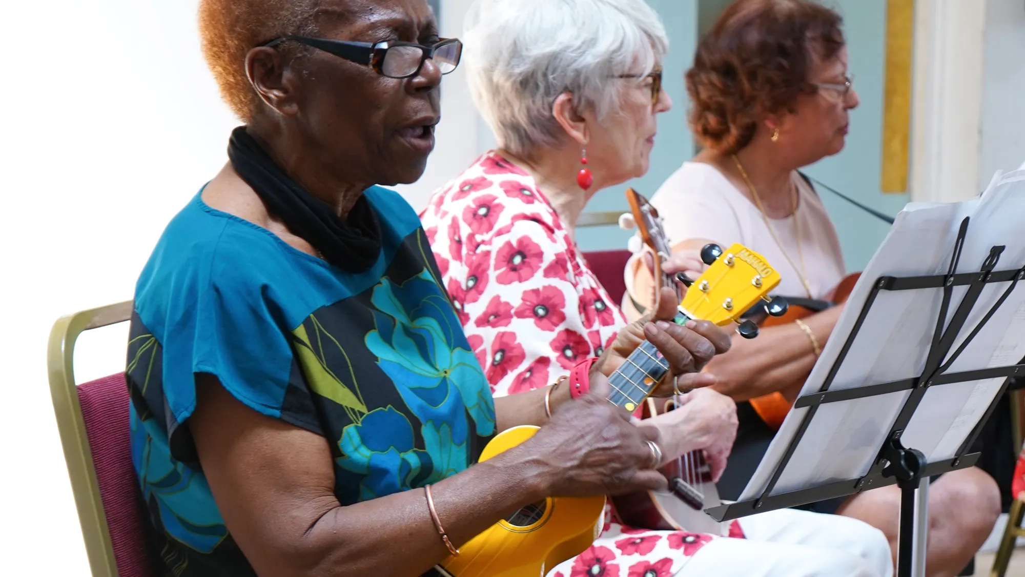 Ukulele- Beginners
