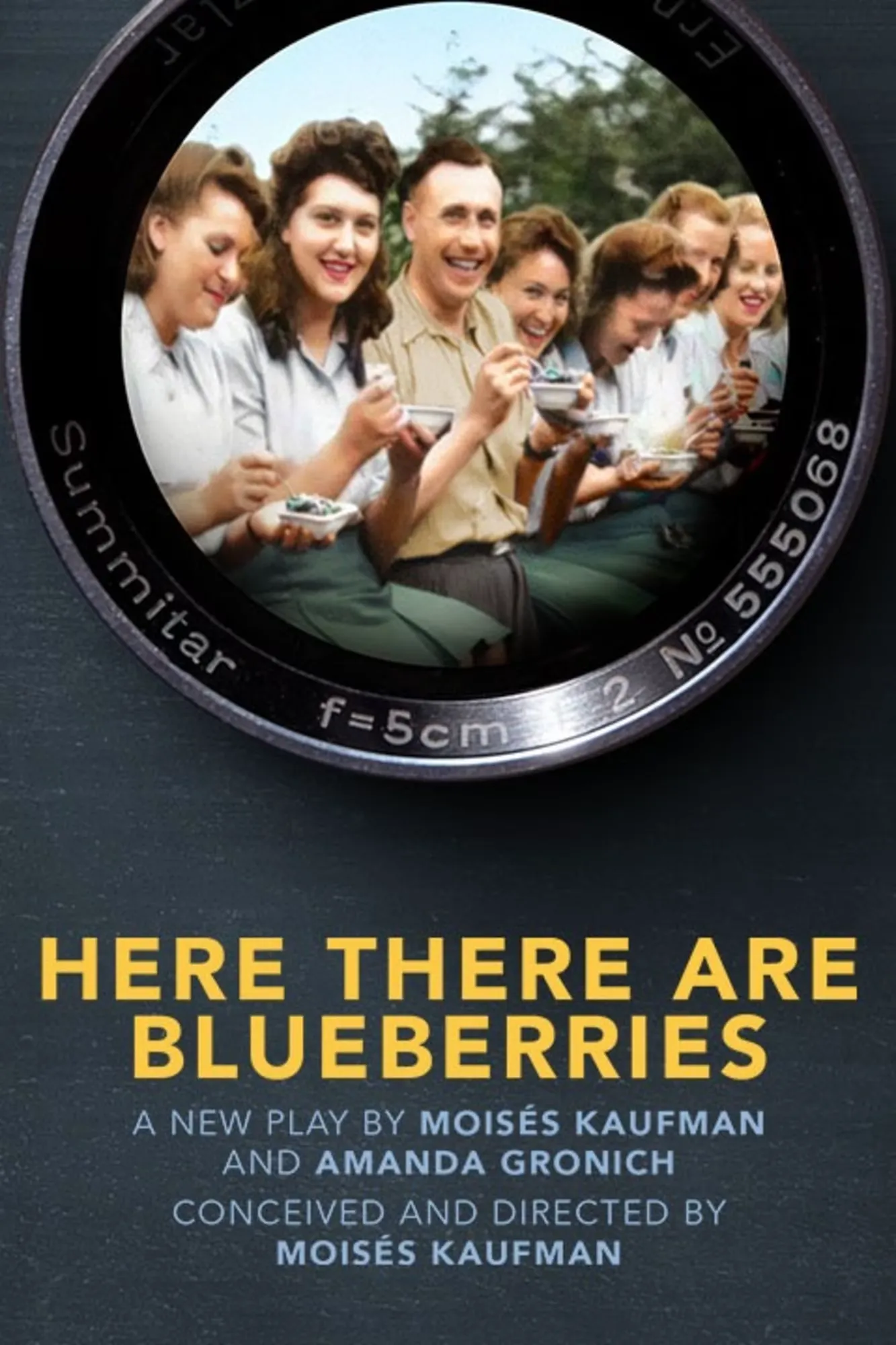 Here There Are Blueberries