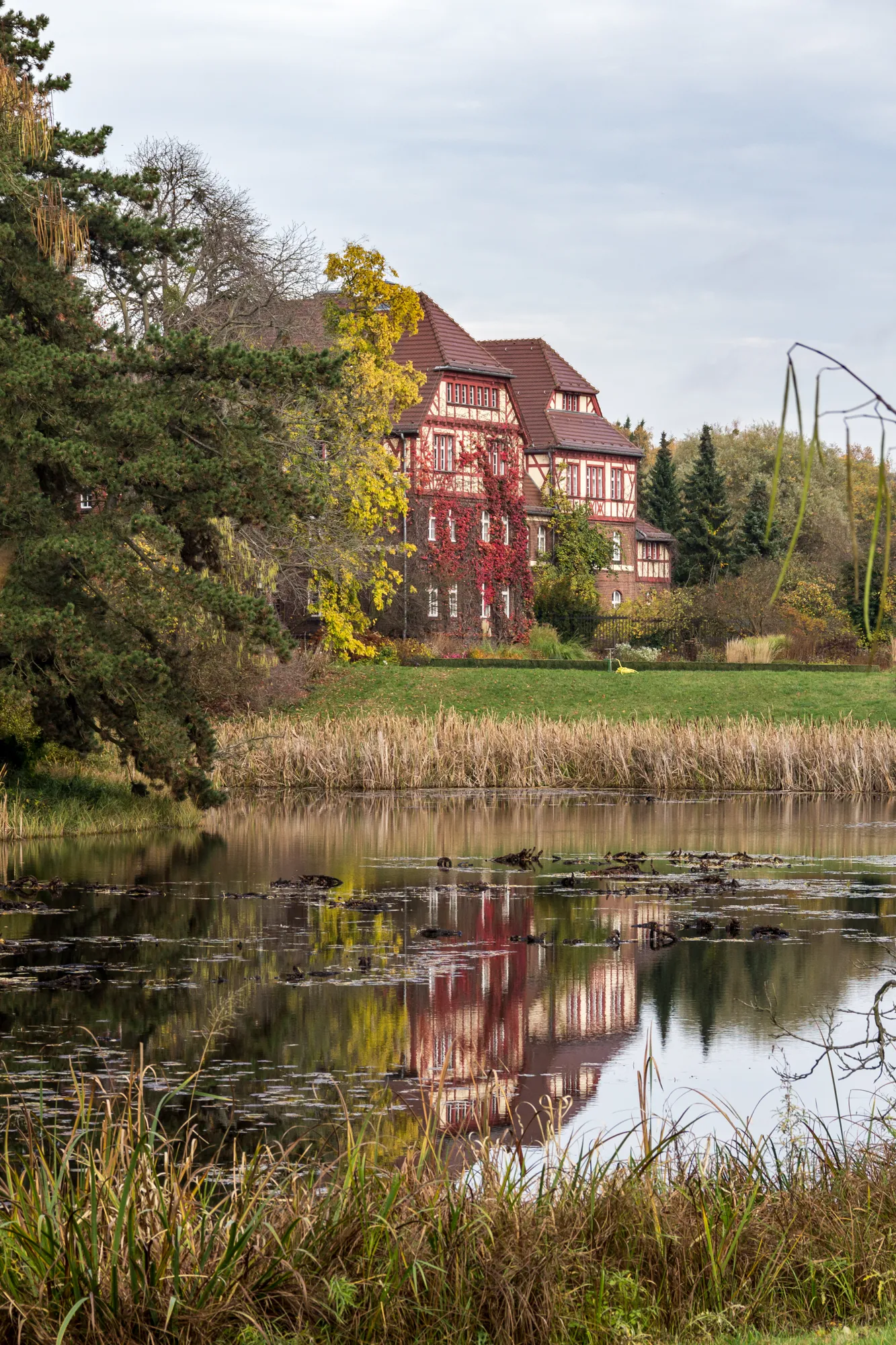Botanischer Garten
