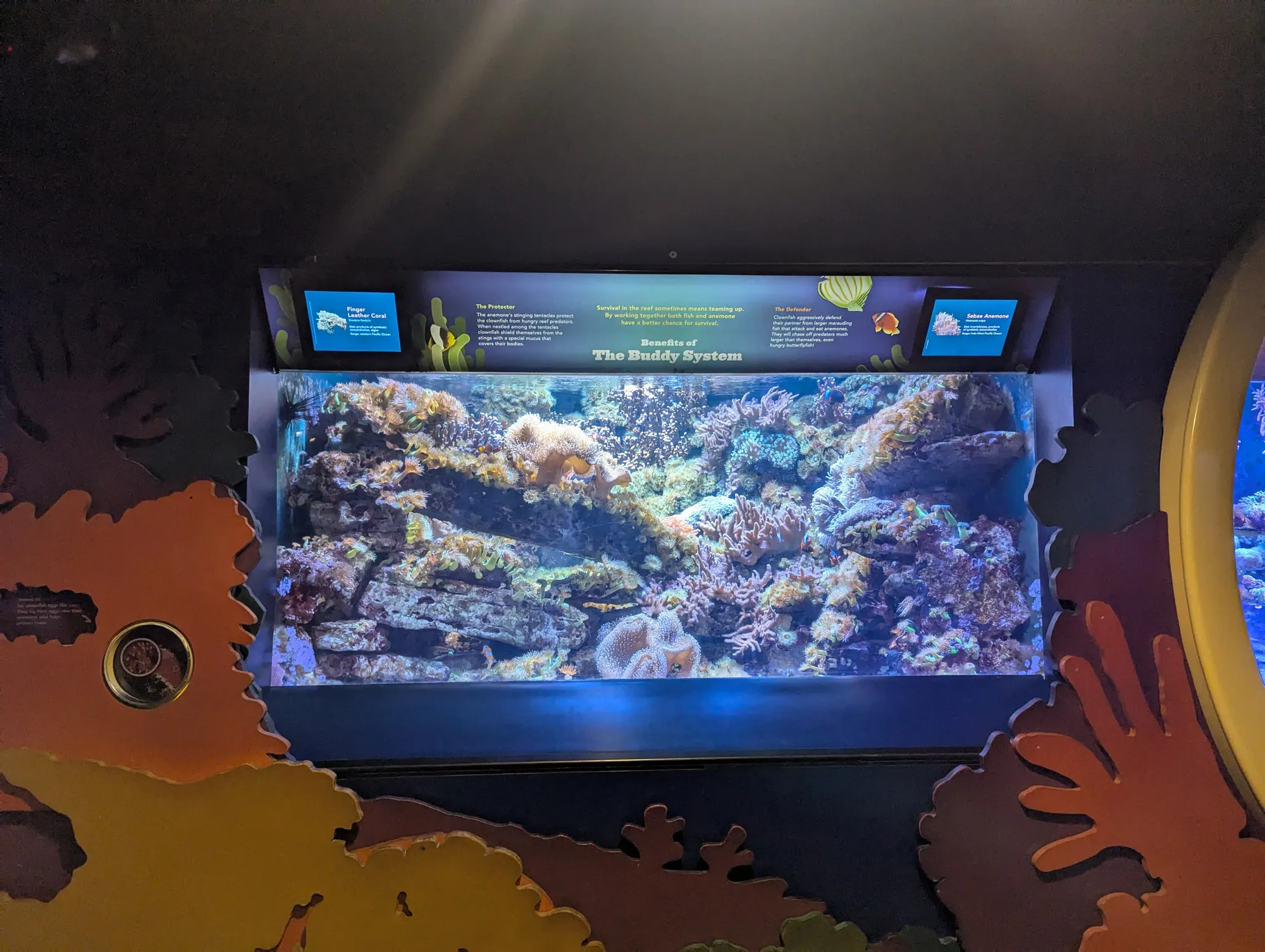 New York Aquarium