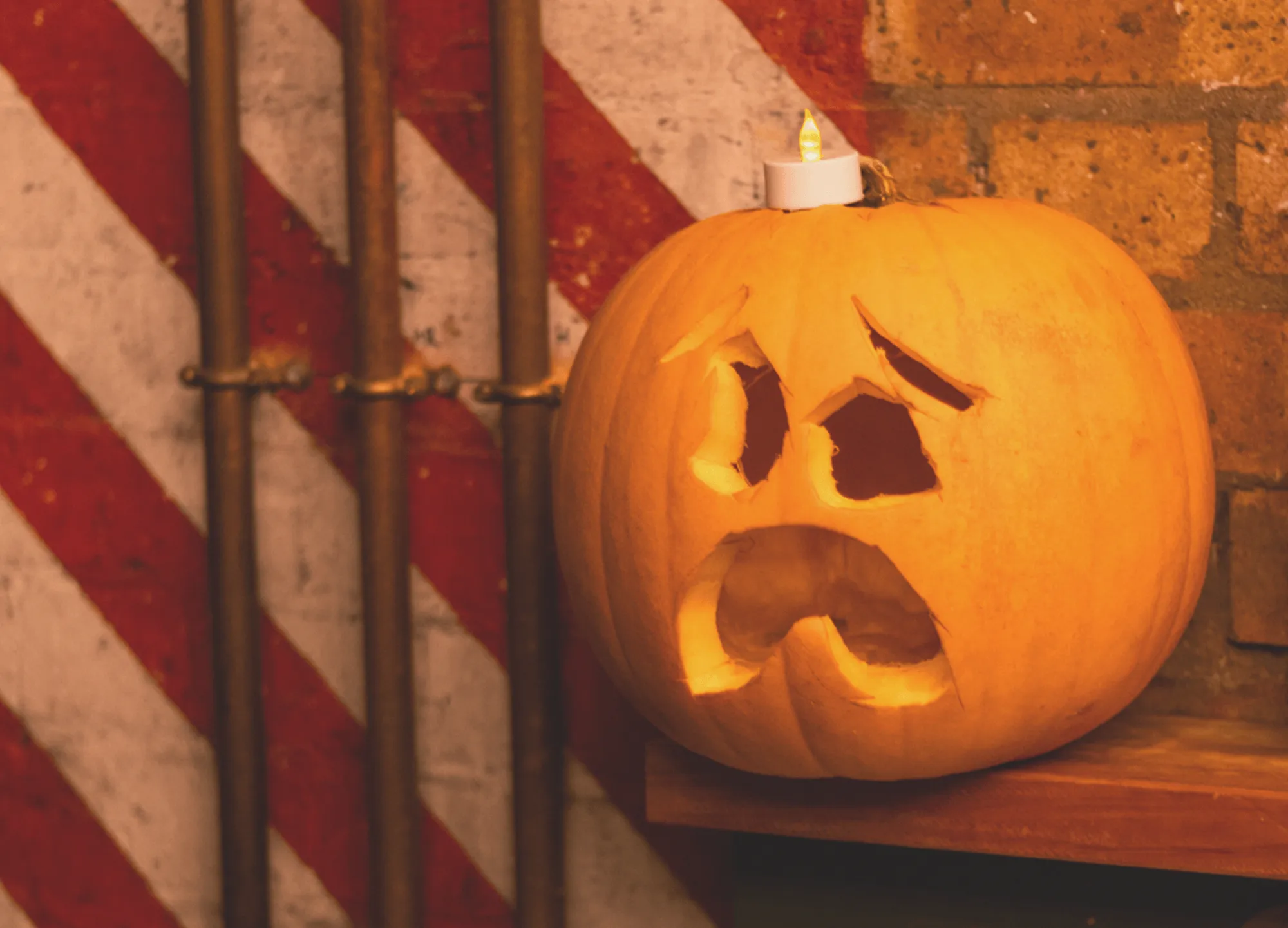 PUMPKIN CARVING