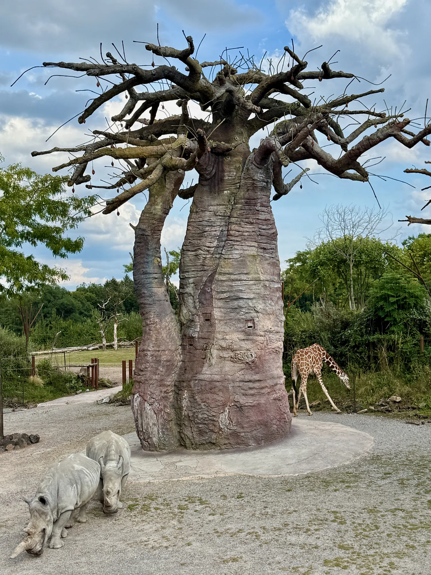 Zoo Zürich