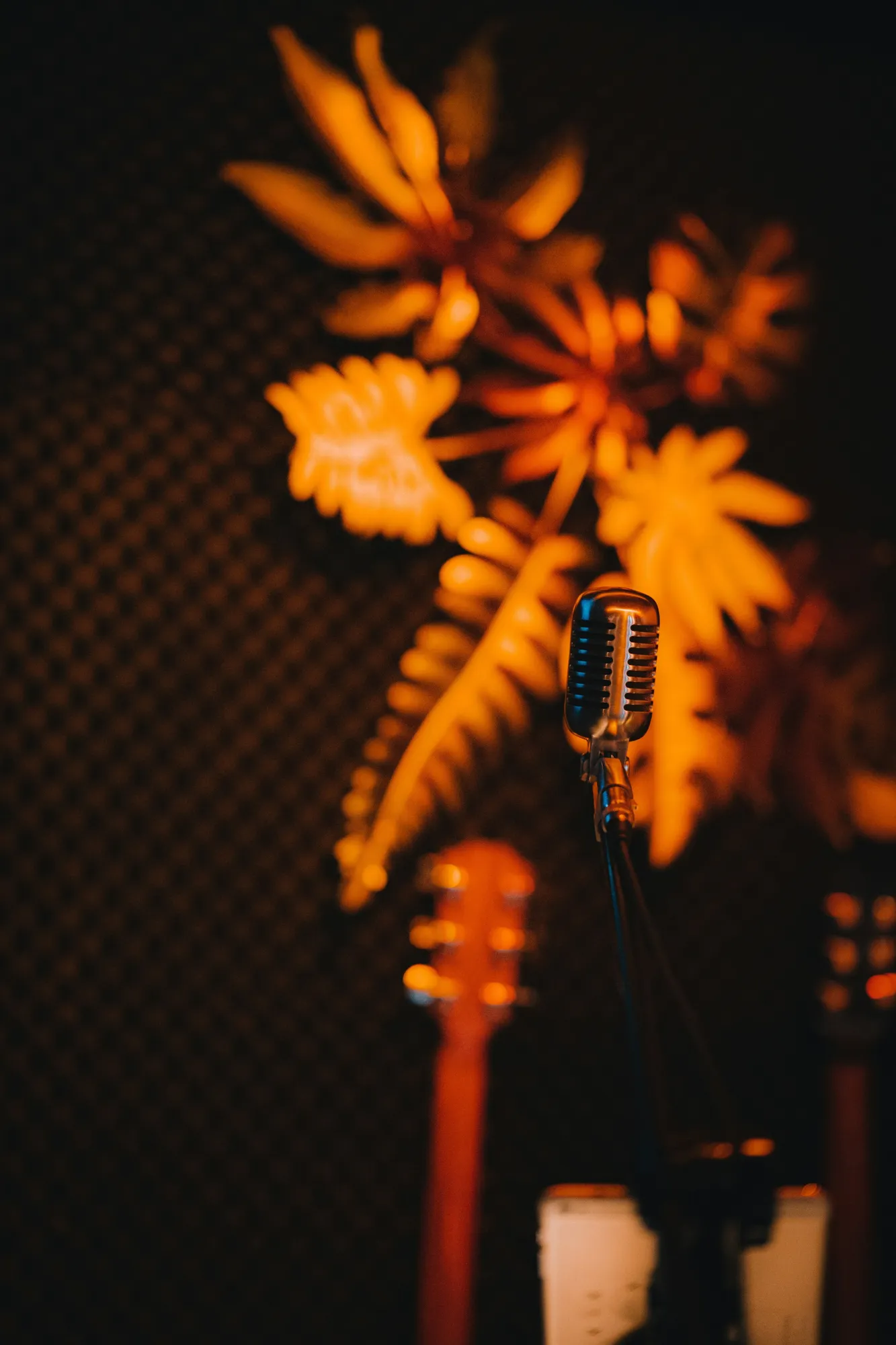 Open Mic Music Every Other Tuesday