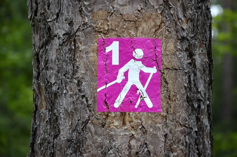 Nordic-Walking