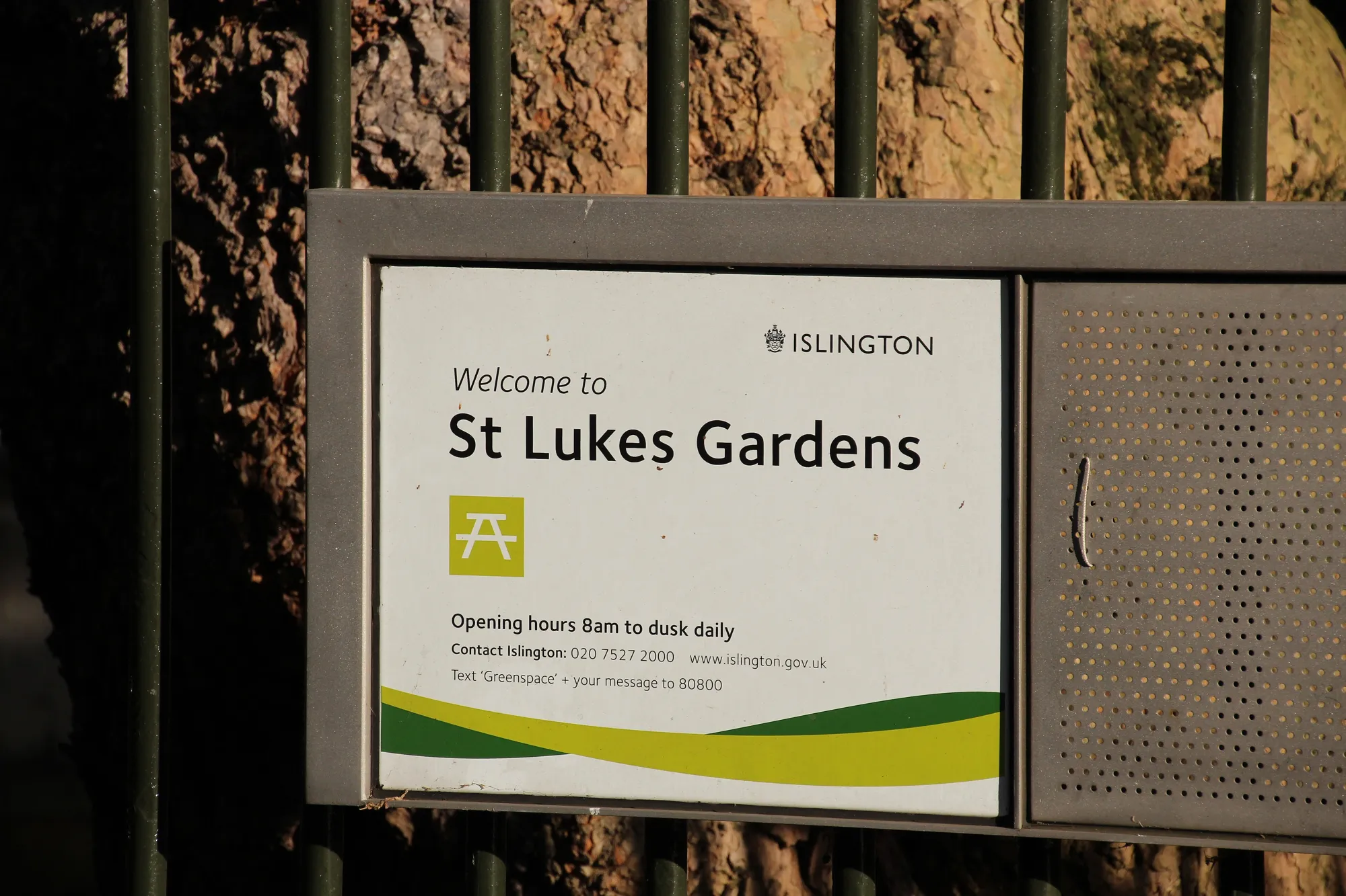 LSO St. Luke's