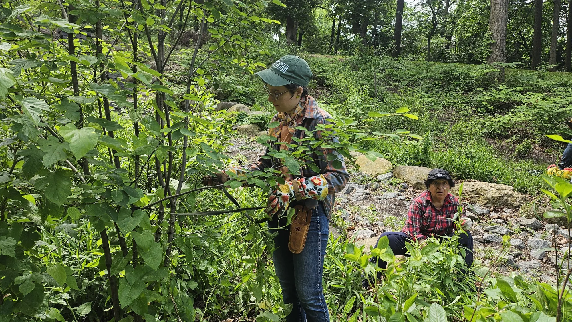 Restoration Friday at Highland Park