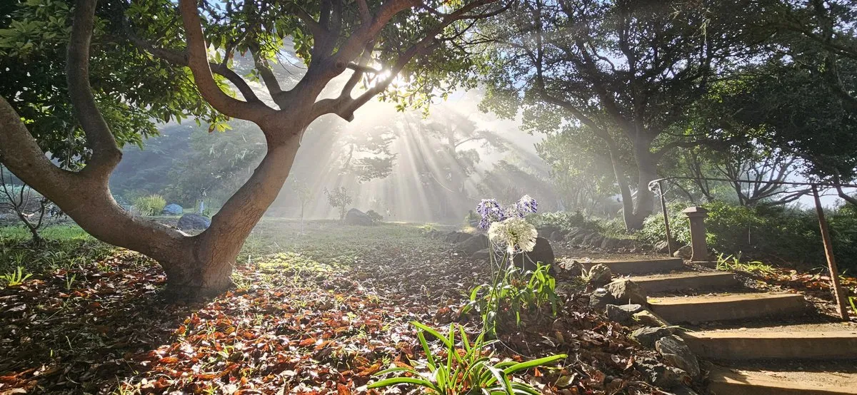 my sacred garden | move&meditate