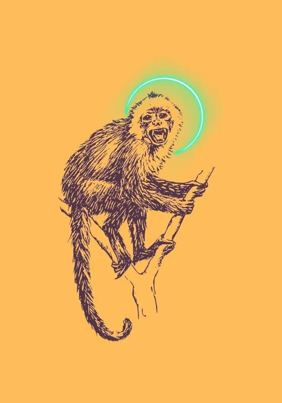 The Monkey