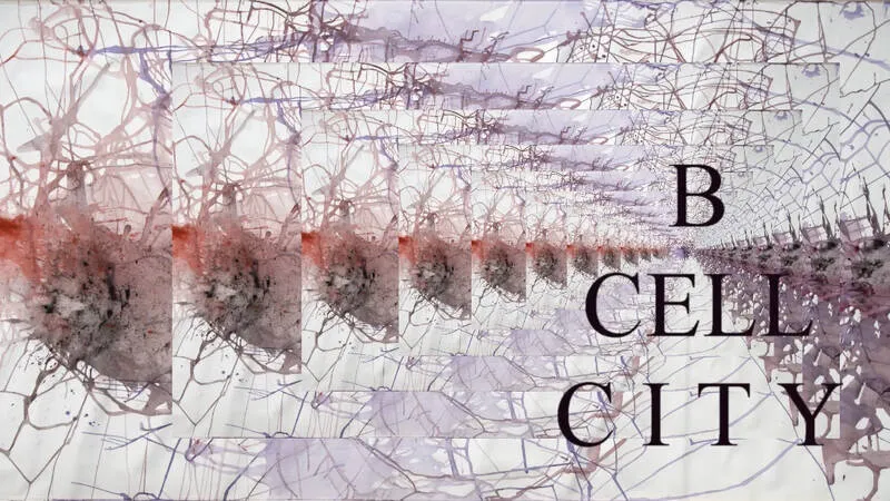 B Cell City